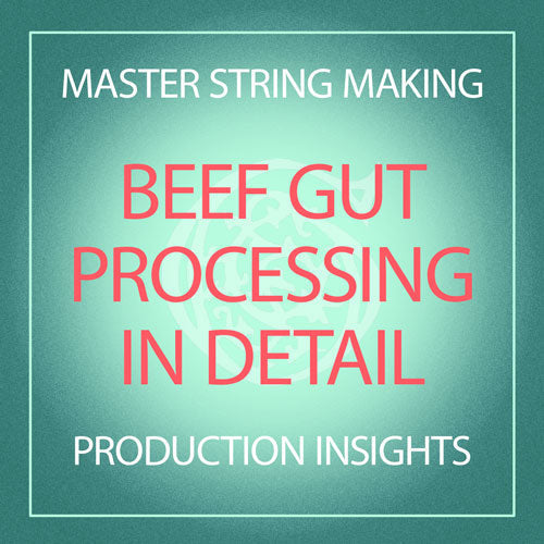 Beef Gut Processing in Detail