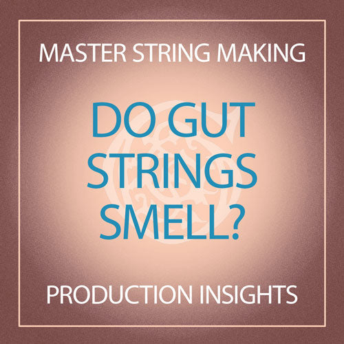 Do Gut Strings Smell?