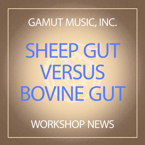 Sheep Gut Versus Bovine Gut