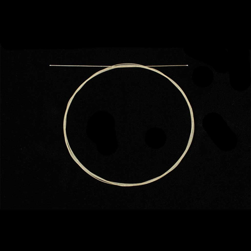 Viola d'Amore d-1 Gut