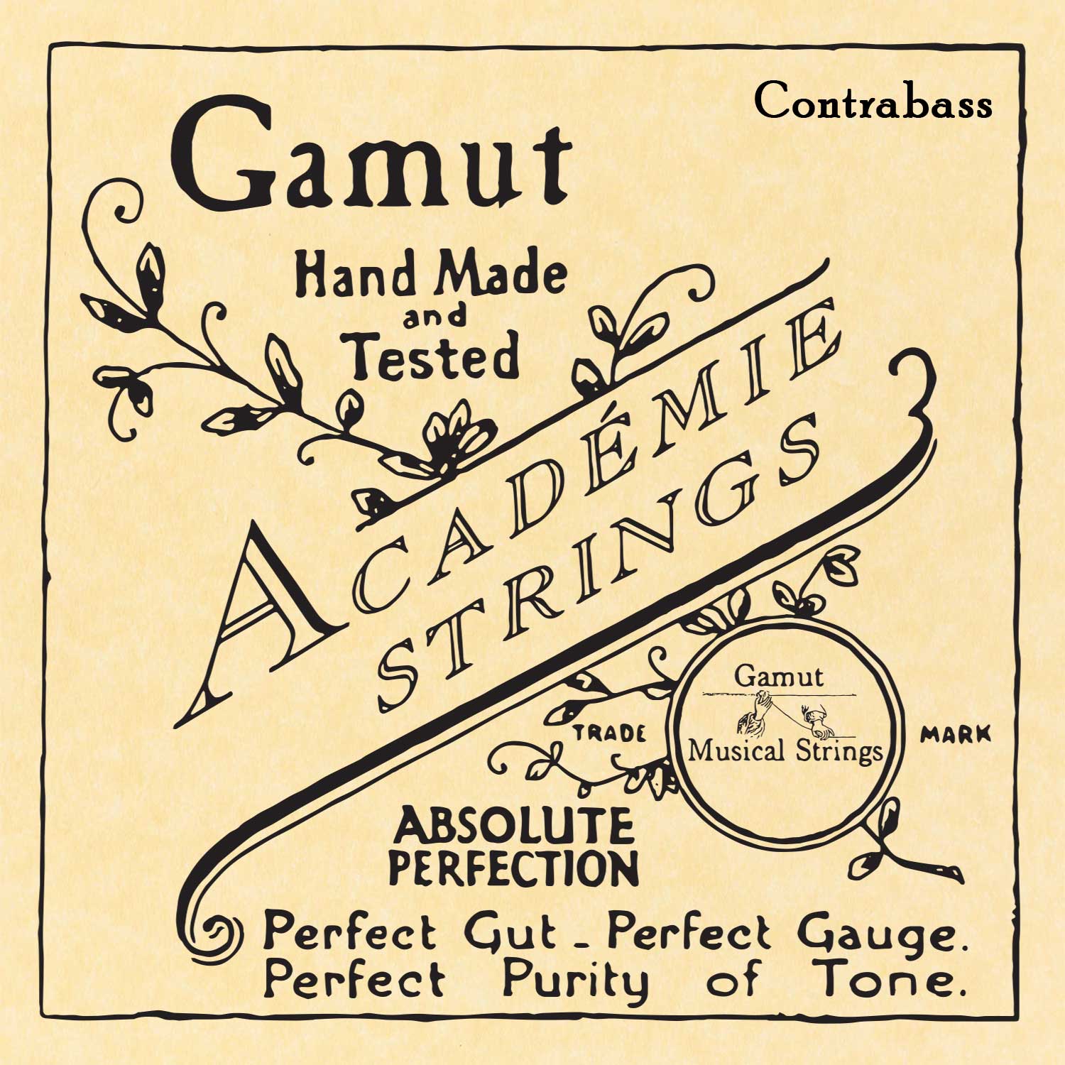 Academie Gut Contrabass Strings