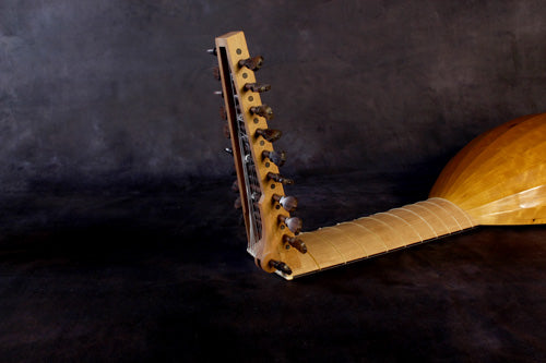 Hans Frei Model 68cm 11-Course Lute Neck