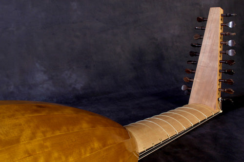 Hans Frei Model 68cm 11-Course Lute Neck