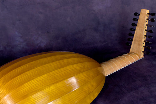 Venere Model 59cm 8-Course Lute Back