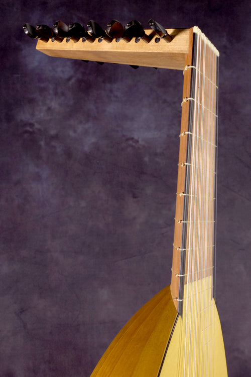 Venere Model 59cm 8-Course Lute Neck