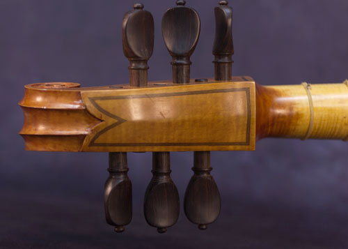 Ventura di Francesco de' Macchettis Linarol Model 1582 Bass Viol Back