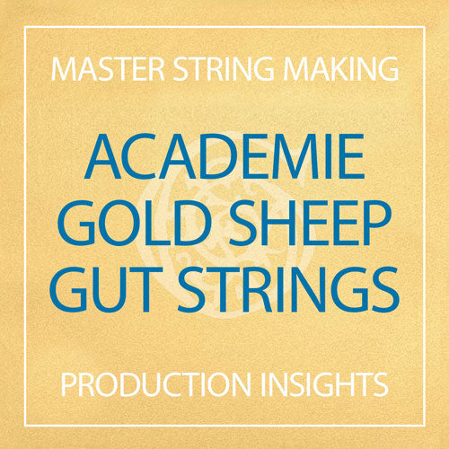 Academie Gold Sheep Gut Strings
