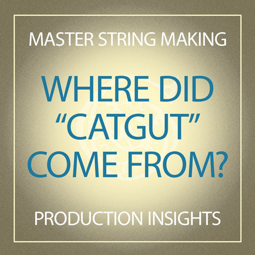 Where Did "Catgut" Come From?
