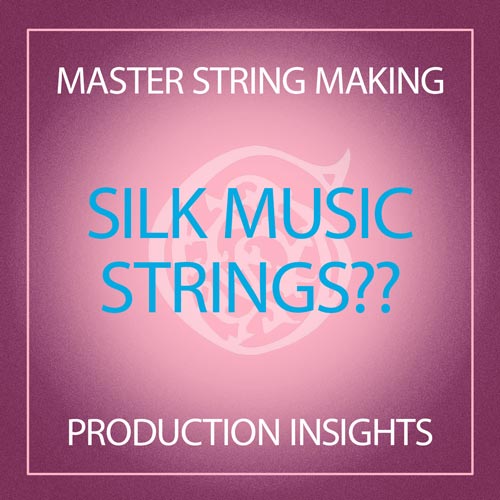 Silk Music Strings??