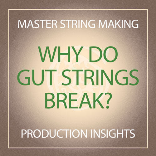 Why Do Gut Strings Break?
