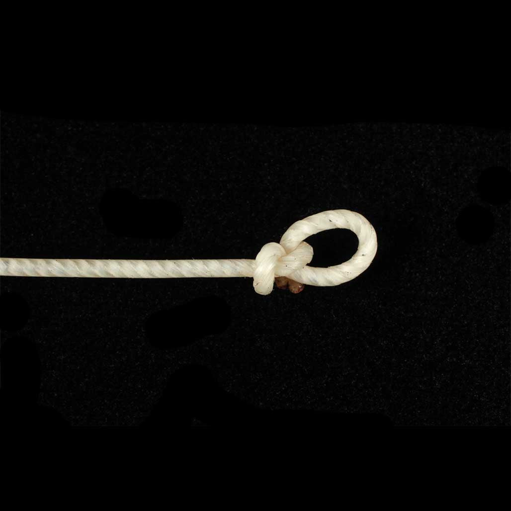 Equal Tension Cello d-2 Pistoy Knot