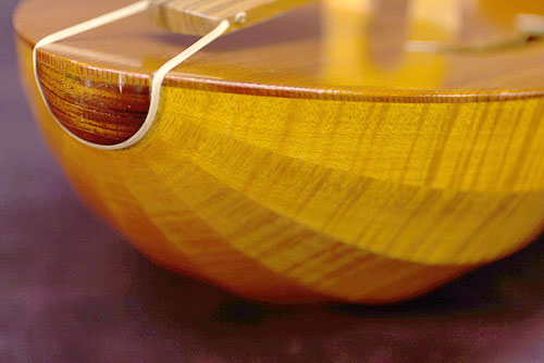 Larson Legacy Stave 30cm 4-String Rebec (SOLD)